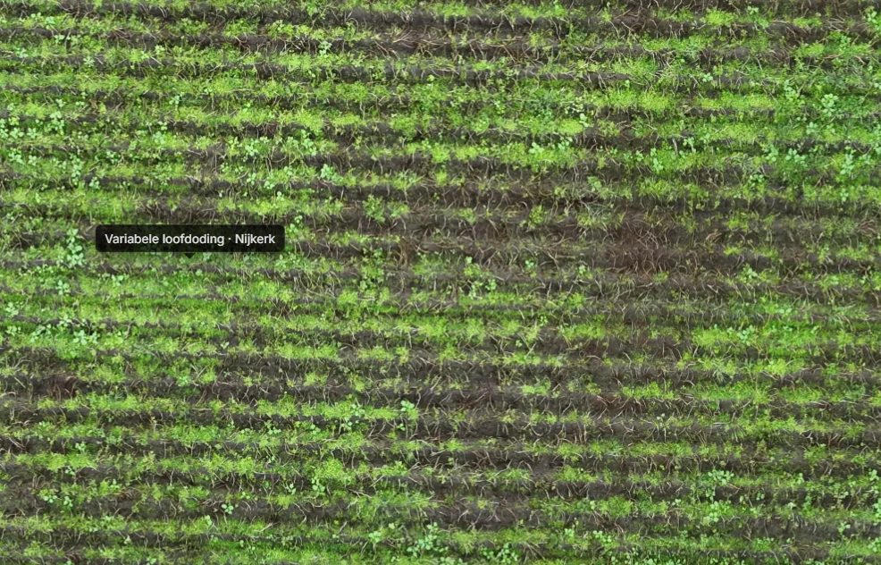 Dronebeeld voor de variabele loofdoding in Nijkerk